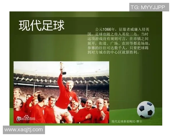 足球明星33号的身份揭秘及其在足球界的影响力分析