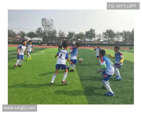 青岛职业学院足球明星的成长之路与未来发展展望