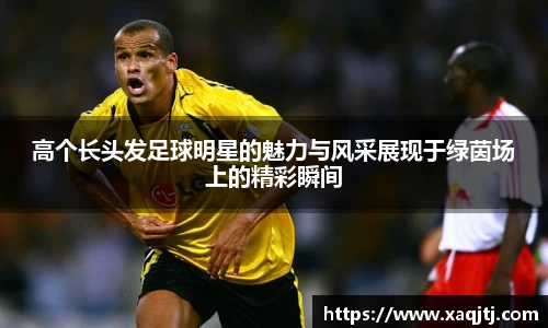 高个长头发足球明星的魅力与风采展现于绿茵场上的精彩瞬间